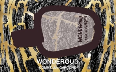 Comme des Garçons Wonderoud - ревю